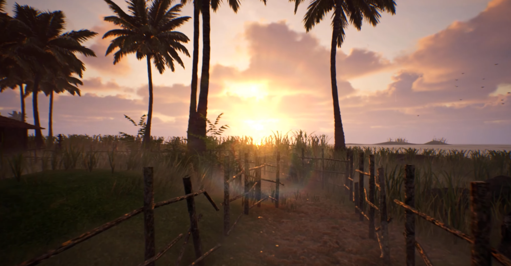horizon